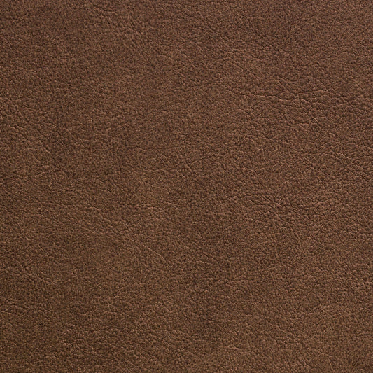 Nassimi Traveler Performance Vinyl Fabric - STR-013 Rum
