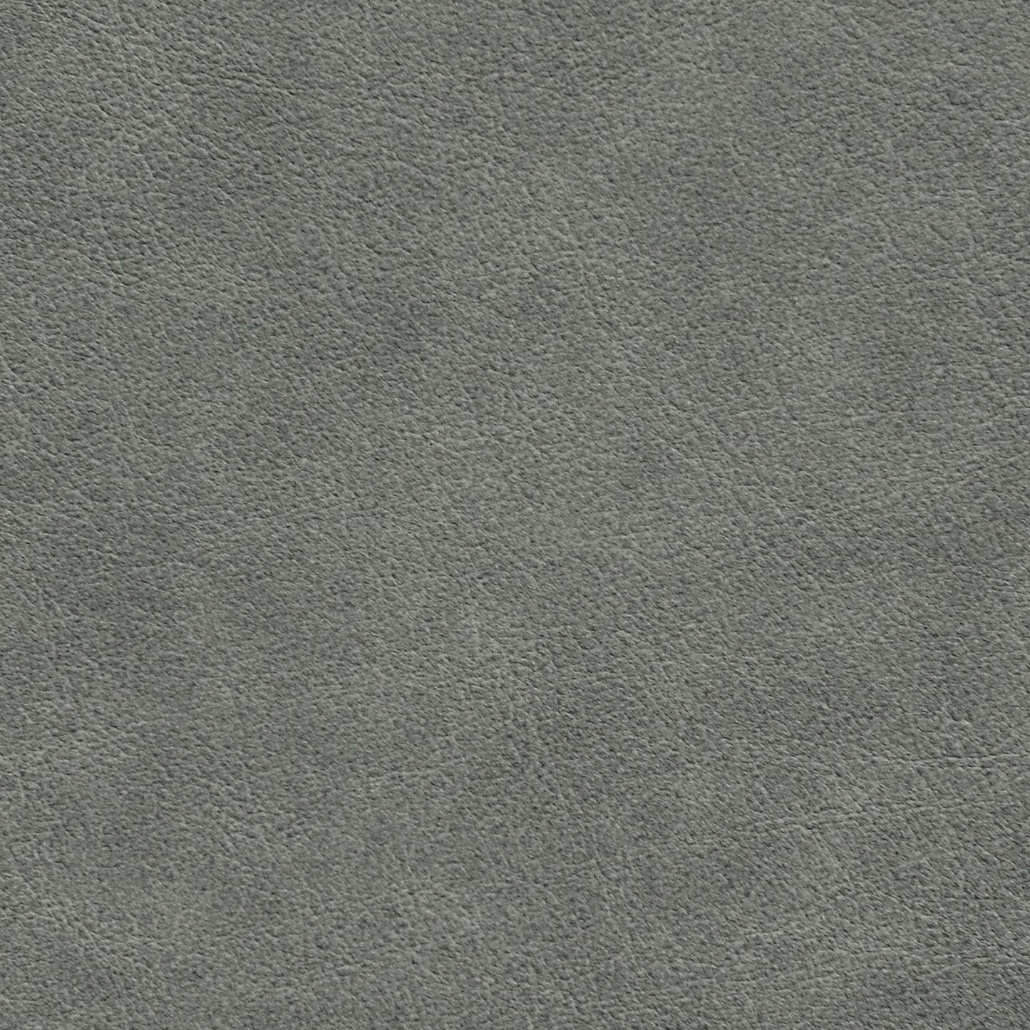 Nassimi Traveler Performance Vinyl Fabric - STR-014 Sea Biscuit