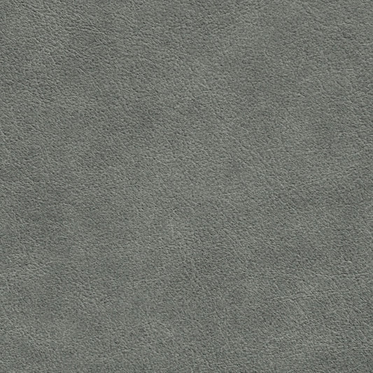 Nassimi Traveler Performance Vinyl Fabric - STR-014 Sea Biscuit