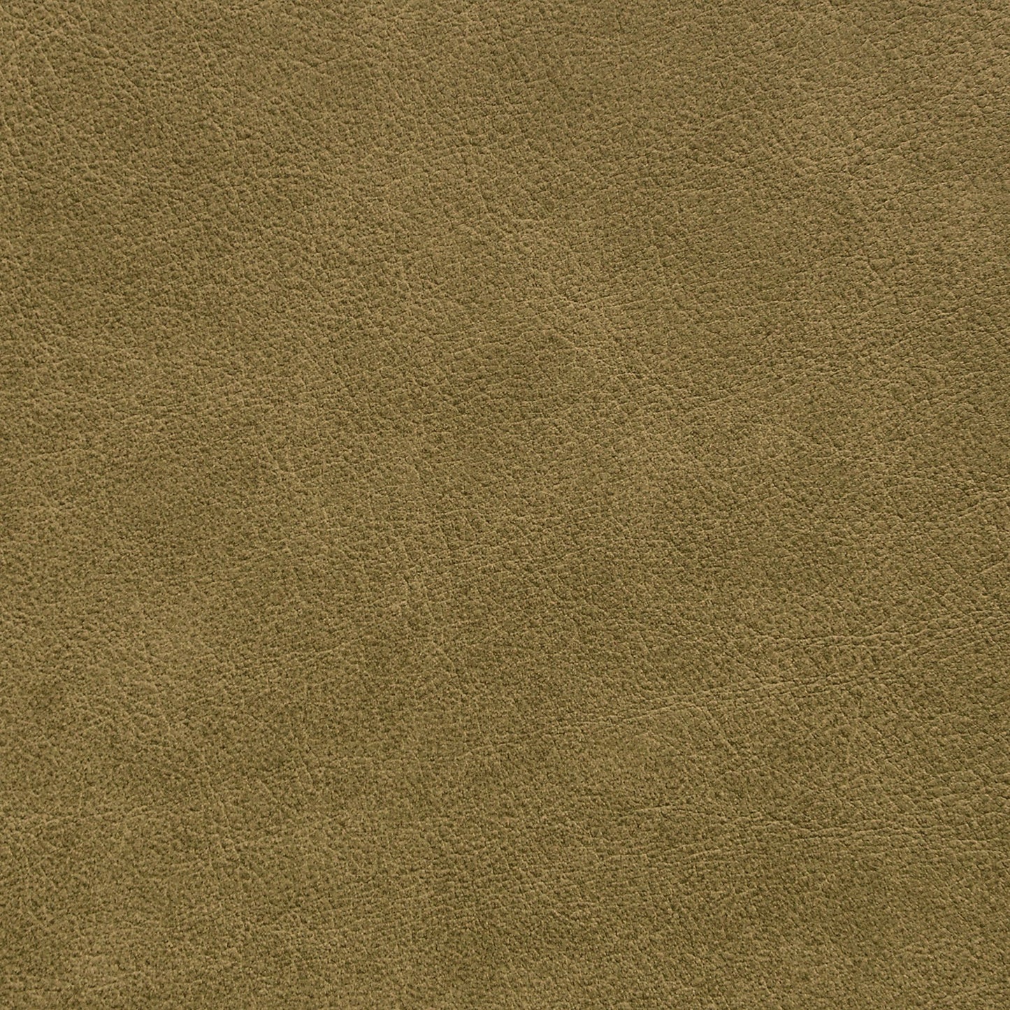 Nassimi Traveler Performance Vinyl Fabric - STR-017 Sprout