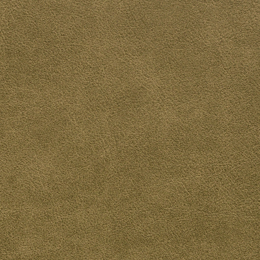 Nassimi Traveler Performance Vinyl Fabric - STR-017 Sprout