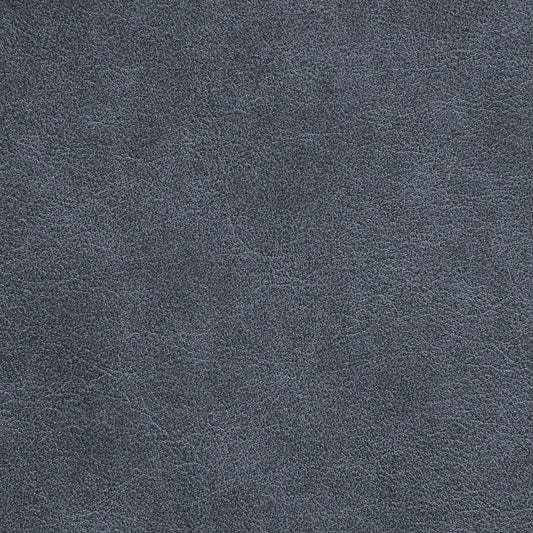 Nassimi Traveler Performance Vinyl Fabric - STR-018 Steamboat