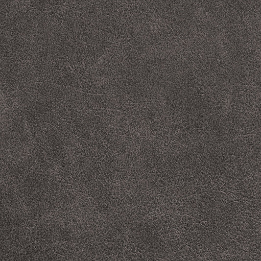 Nassimi Traveler Performance Vinyl Fabric - STR-019 Throroghbred