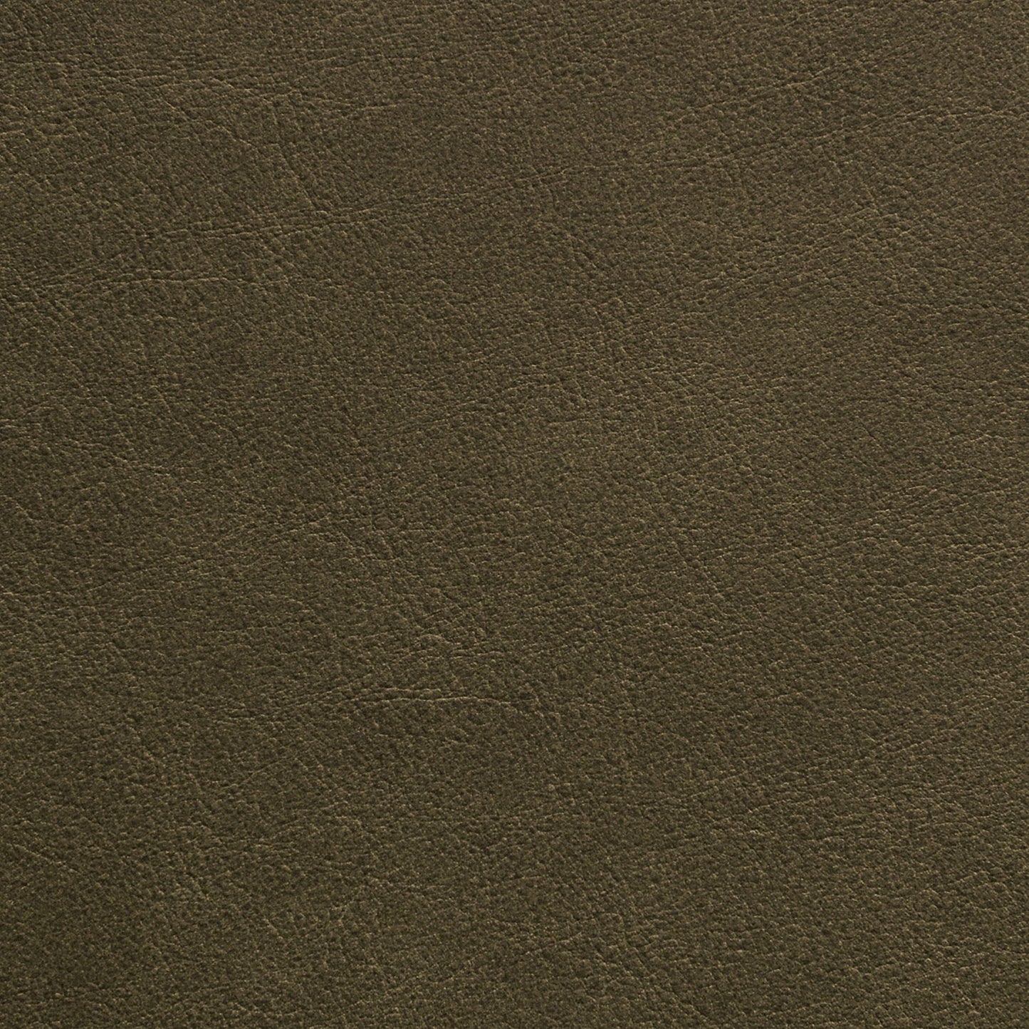 Nassimi Traveler Performance Vinyl Fabric - STR-020 Thyme