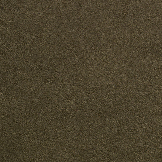 Nassimi Traveler Performance Vinyl Fabric - STR-020 Thyme