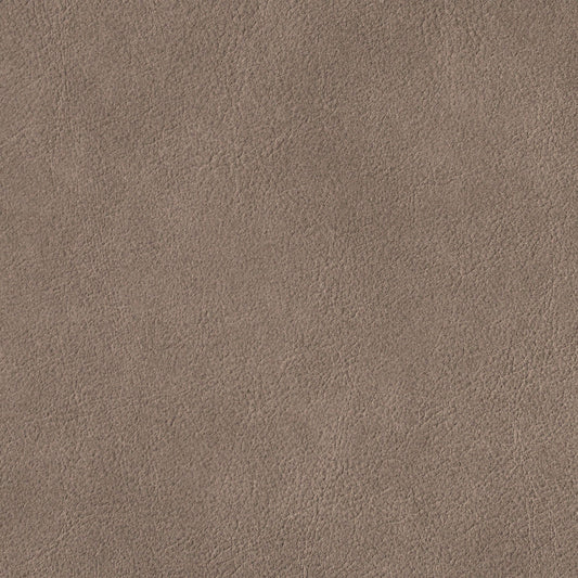 Nassimi Traveler Performance Vinyl Fabric - STR-021 Trail