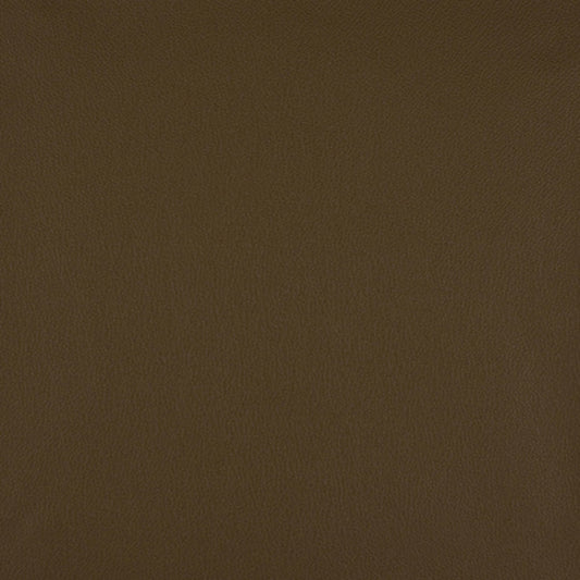 Nassimi Impulse Upholstery Vinyl Fabric - VIM-014 Java