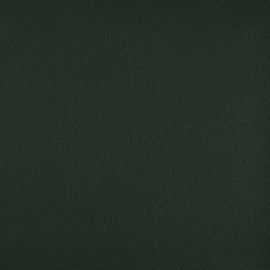 Nassimi Impulse Upholstery Vinyl Fabric - VIM-020 Pine