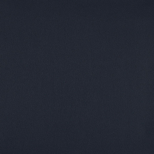 Nassimi Impulse Upholstery Vinyl Fabric - VIM-027 Voyager
