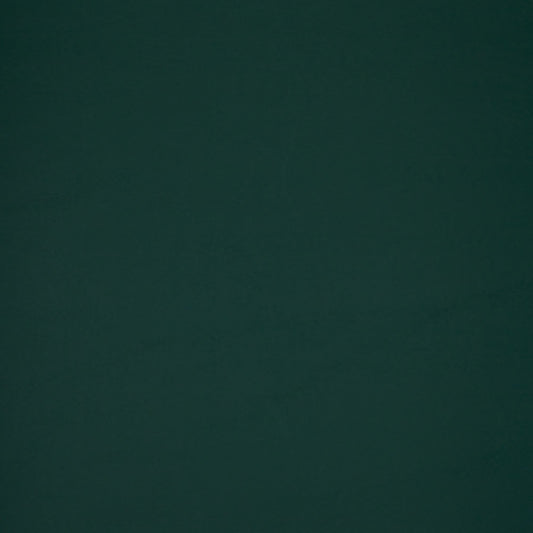 Nassimi Primary Vinyls Upholstery Vinyl Fabric - VRW-006 Forest