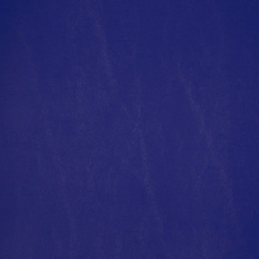 Nassimi Primary Vinyls Upholstery Vinyl Fabric - VRW-017 Wedgewood