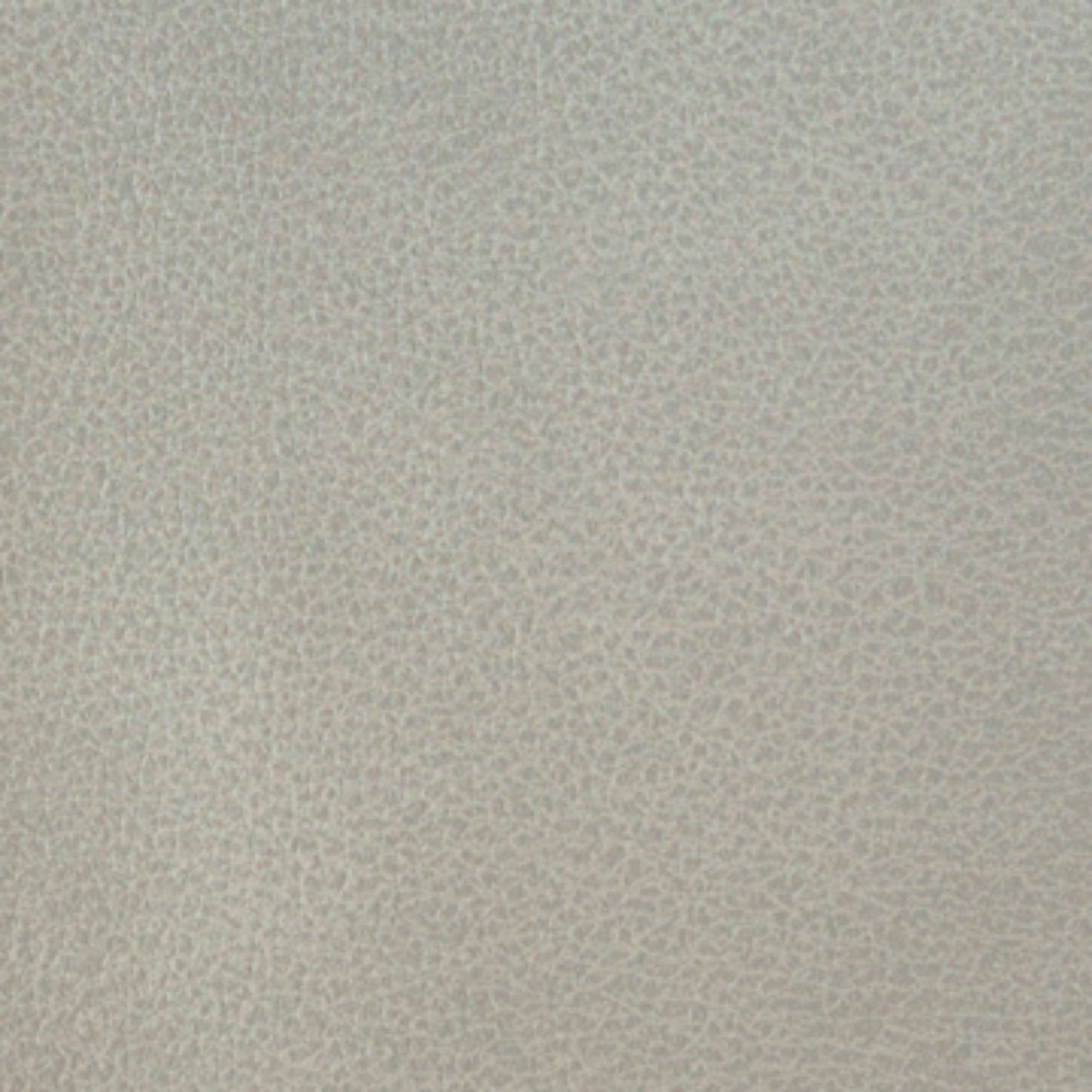 Writer's Block Clarke Performance Faux Leather Fabric - WCL-010 Crystal