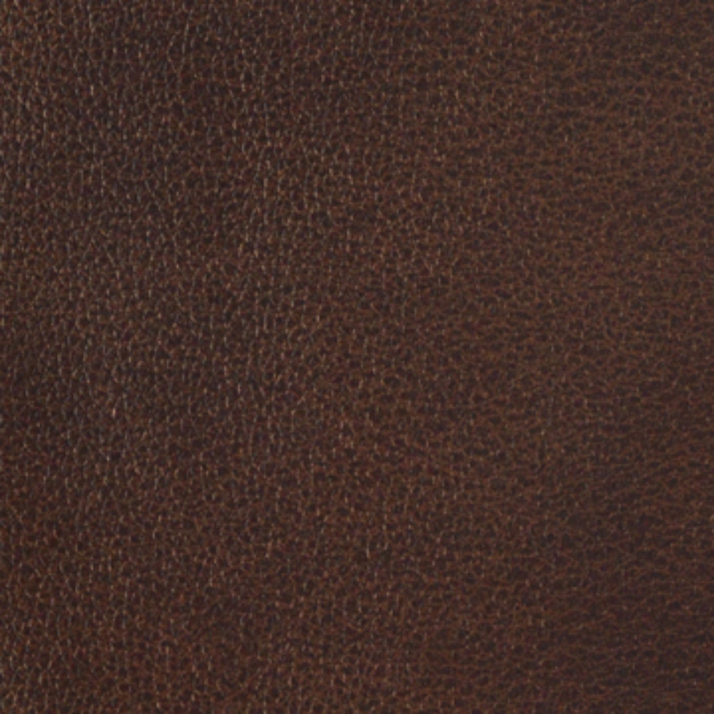 Writer's Block Clarke Performance Faux Leather Fabric - WCL-021 Treasure