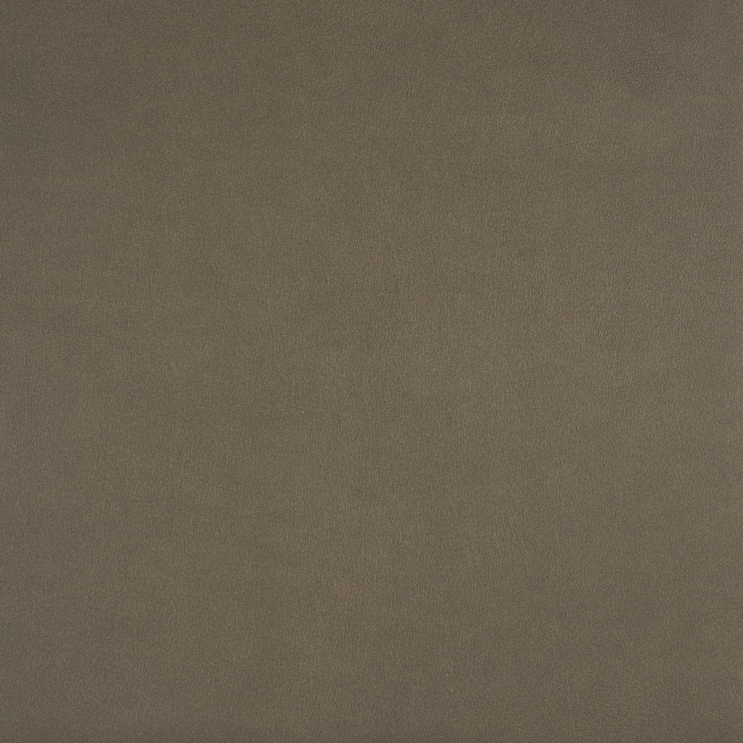 Writer's Block Hawthorne Performance Faux Leather Fabric - WHA-022 Twine