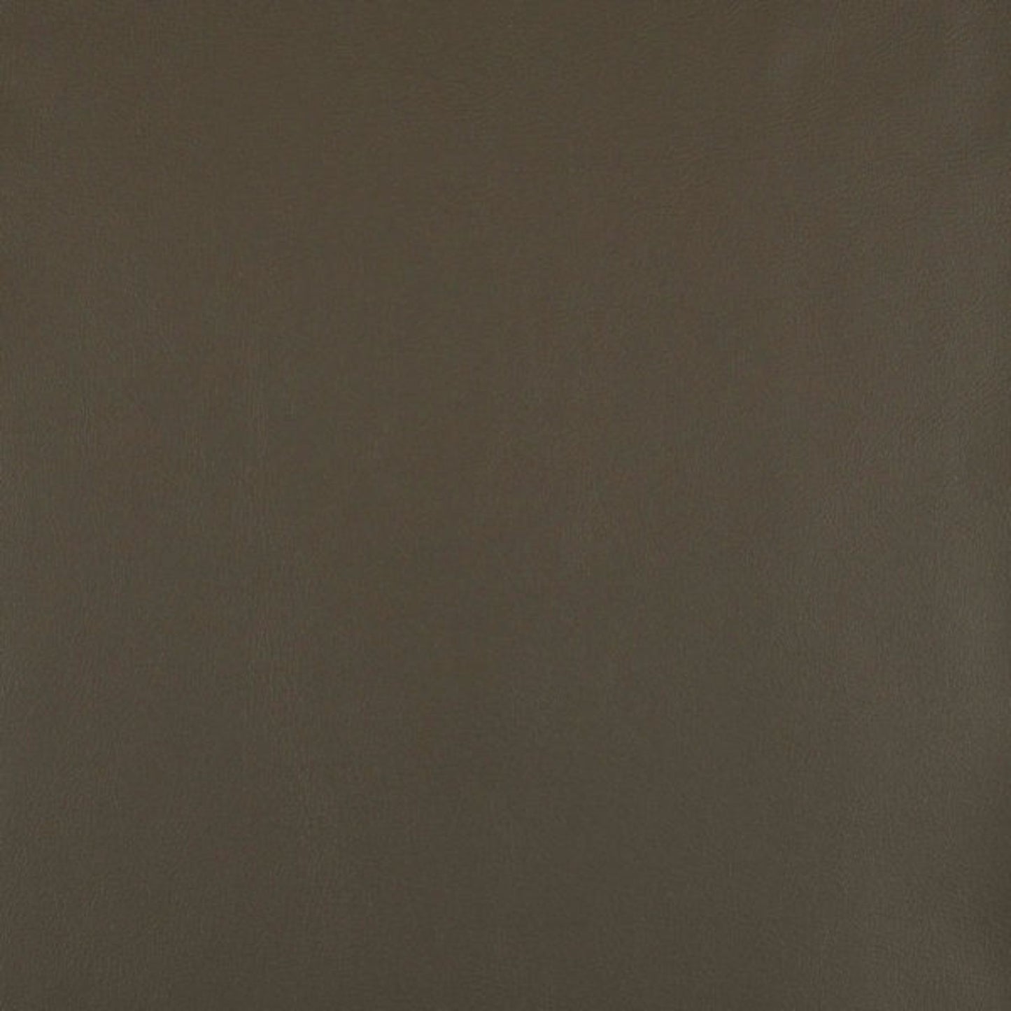 Writer's Block Morrison Performance Faux Leather Fabric - WMO-002 Chimney