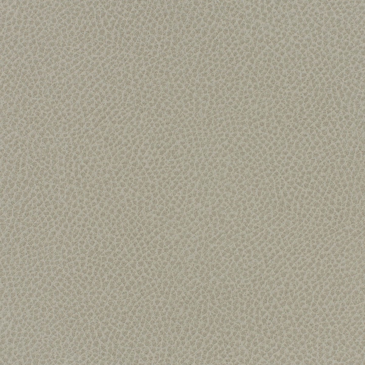 Writer's Block Steinbeck Performance Faux Leather Fabric - WST-009 Crater