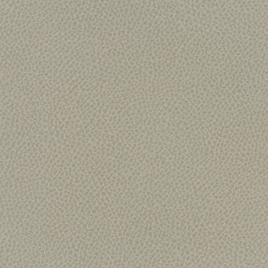 Writer's Block Steinbeck Performance Faux Leather Fabric - WST-009 Crater
