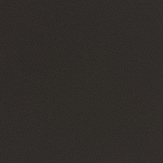 Writer's Block Steinbeck Performance Faux Leather Fabric - WST-022 Shadow