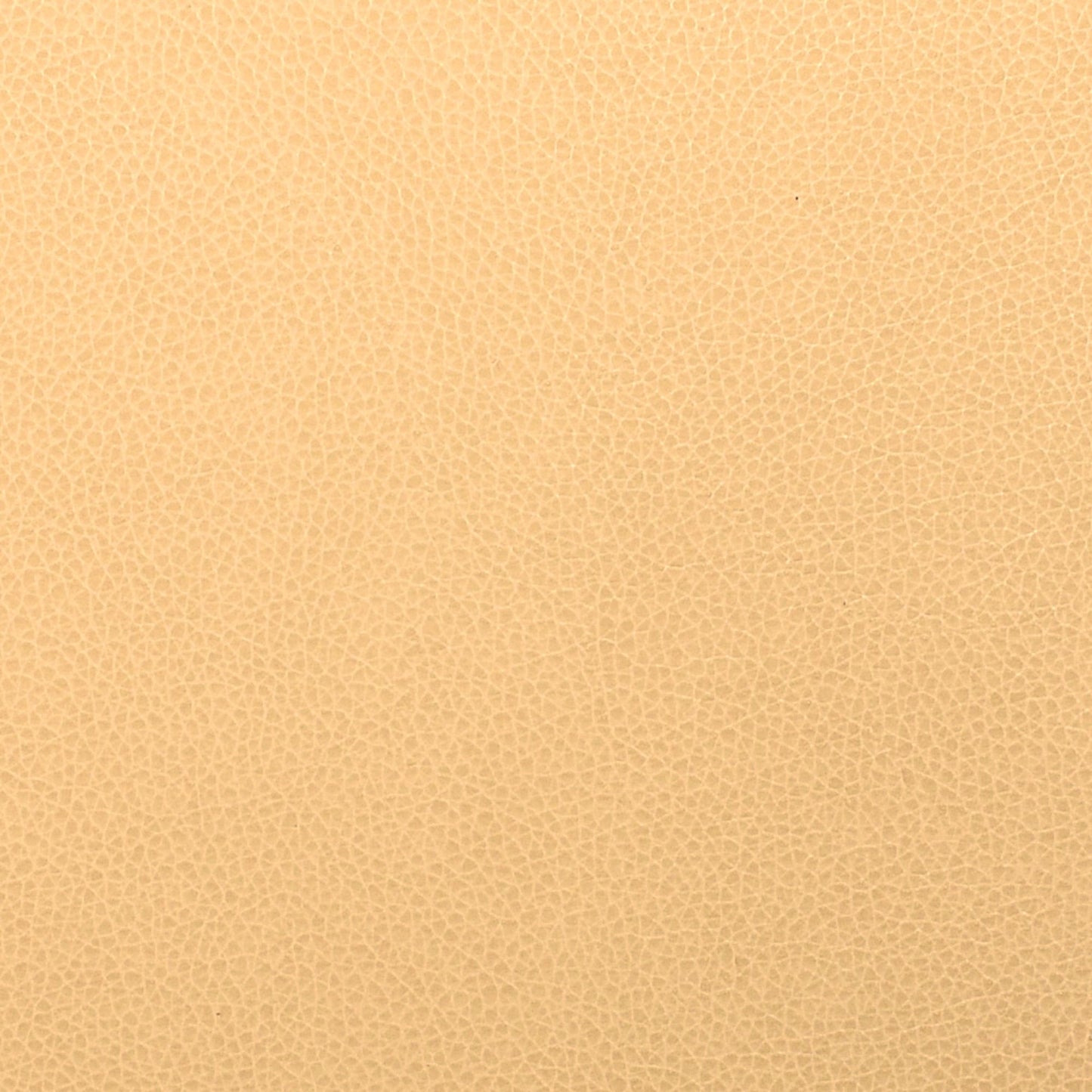 Writer's Block Tolstoy Performance Faux Leather Fabric - WTL-001 Alpaca