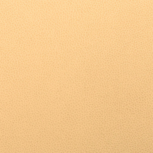 Writer's Block Tolstoy Performance Faux Leather Fabric - WTL-001 Alpaca