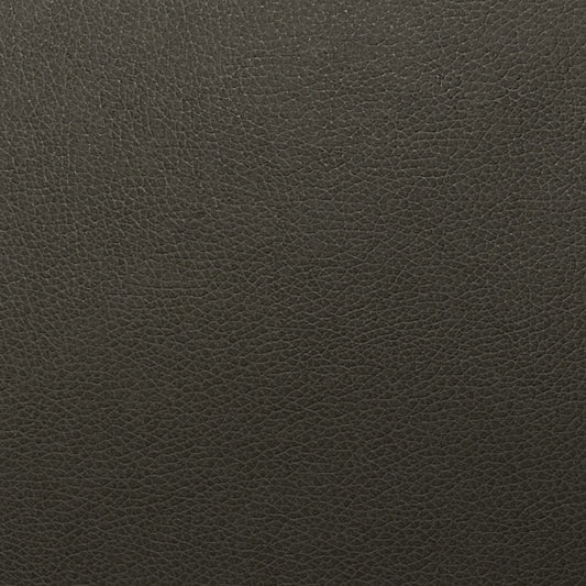 Writer's Block Tolstoy Performance Faux Leather Fabric - WTL-002 Asphalt