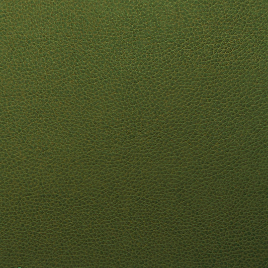 Writer's Block Tolstoy Performance Faux Leather Fabric - WTL-003 Celtic