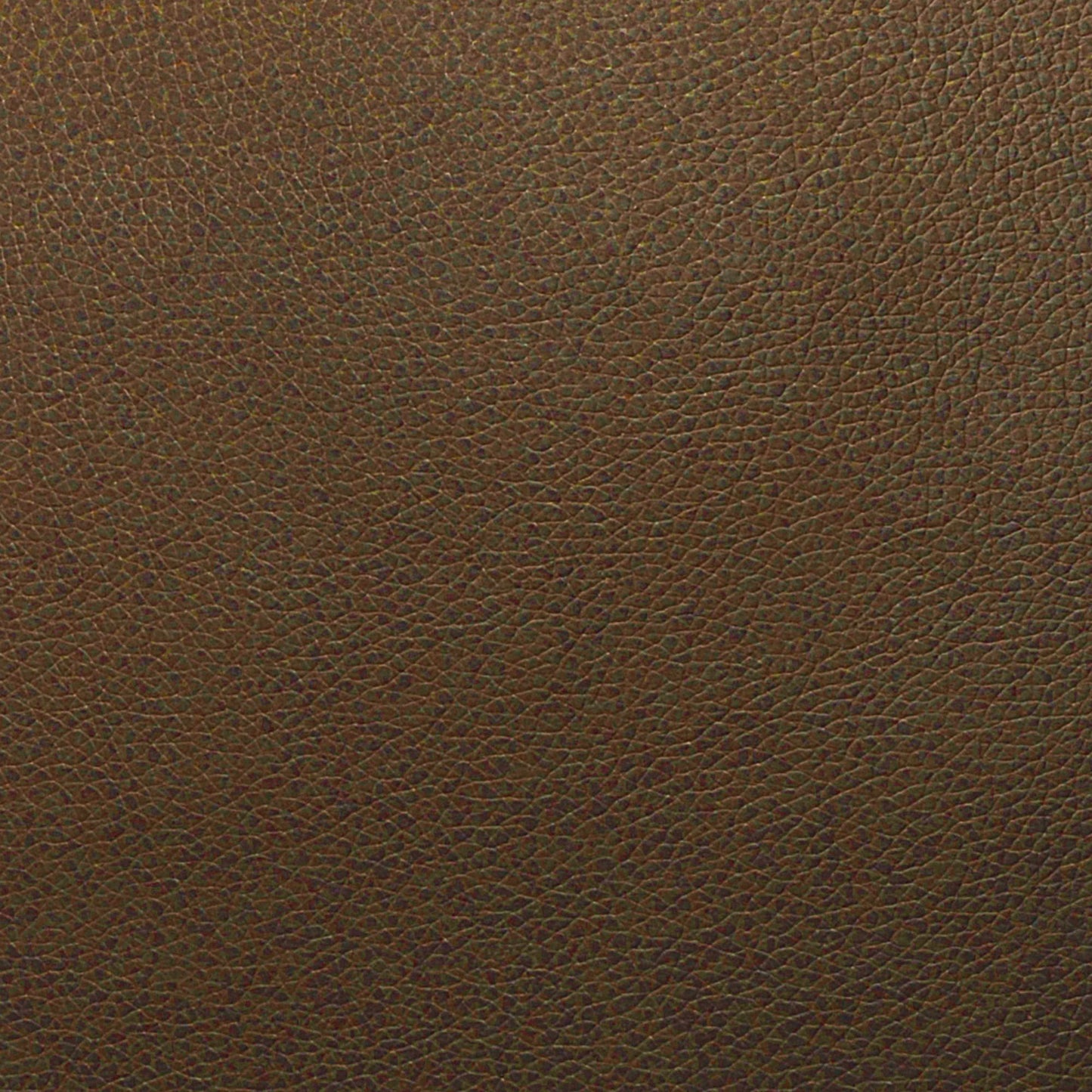 Writer's Block Tolstoy Performance Faux Leather Fabric - WTL-005 Earth
