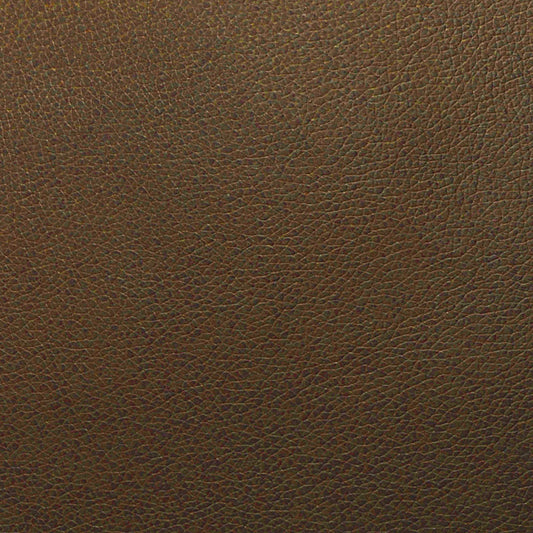 Writer's Block Tolstoy Performance Faux Leather Fabric - WTL-005 Earth