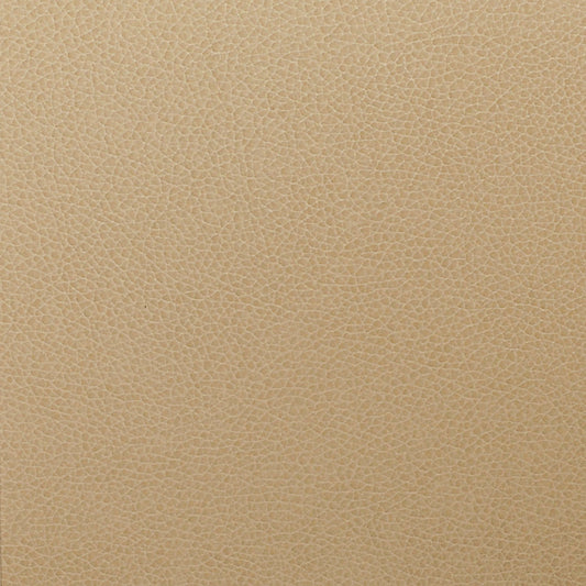 Writer's Block Tolstoy Performance Faux Leather Fabric - WTL-006 Feather