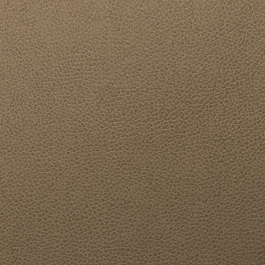 Writer's Block Tolstoy Performance Faux Leather Fabric - WTL-007 Flintstone