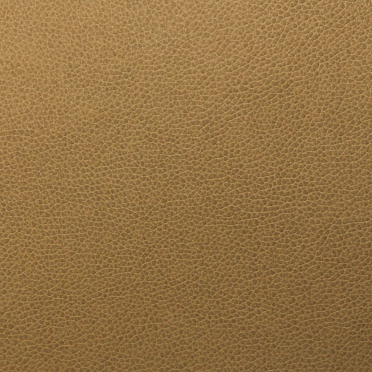 Writer's Block Tolstoy Performance Faux Leather Fabric - WTL-009 Hazel