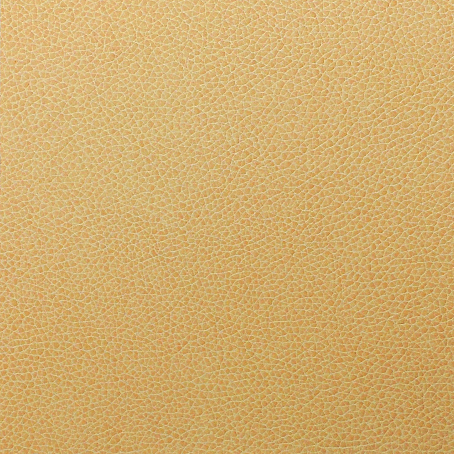 Writer's Block Tolstoy Performance Faux Leather Fabric - WTL-011 Parchment