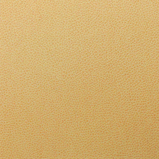 Writer's Block Tolstoy Performance Faux Leather Fabric - WTL-011 Parchment