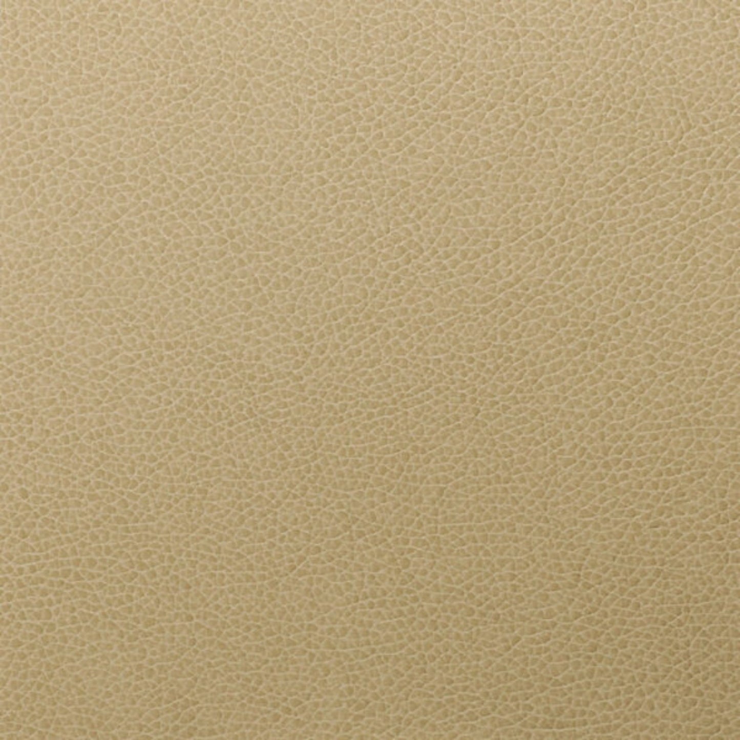 Writer's Block Tolstoy Performance Faux Leather Fabric - WTL-011 Parchment