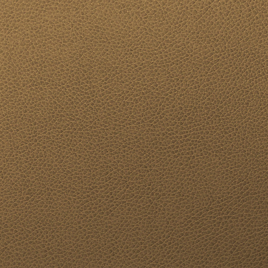 Writer's Block Tolstoy Performance Faux Leather Fabric - WTL-012 Quarry