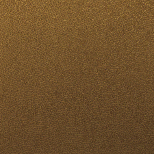 Writer's Block Tolstoy Performance Faux Leather Fabric - WTL-013 Ram