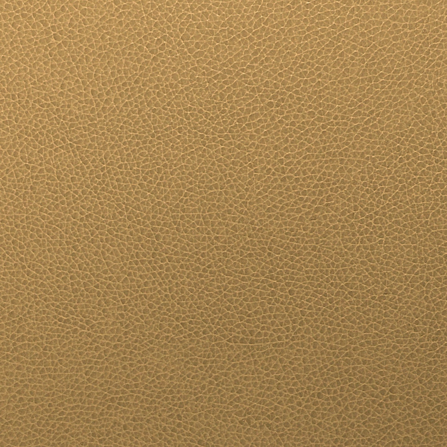 Writer's Block Tolstoy Performance Faux Leather Fabric - WTL-014 Rye