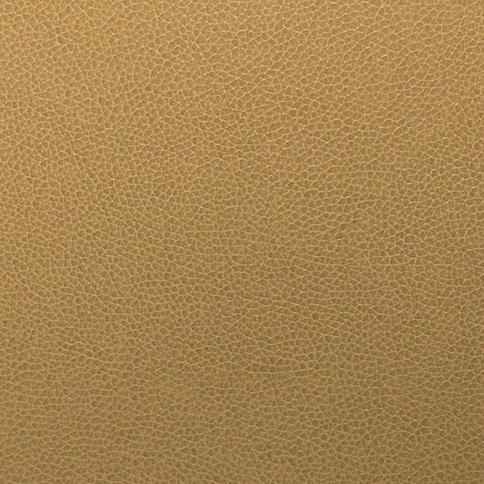 Writer's Block Tolstoy Performance Faux Leather Fabric - WTL-014 Rye