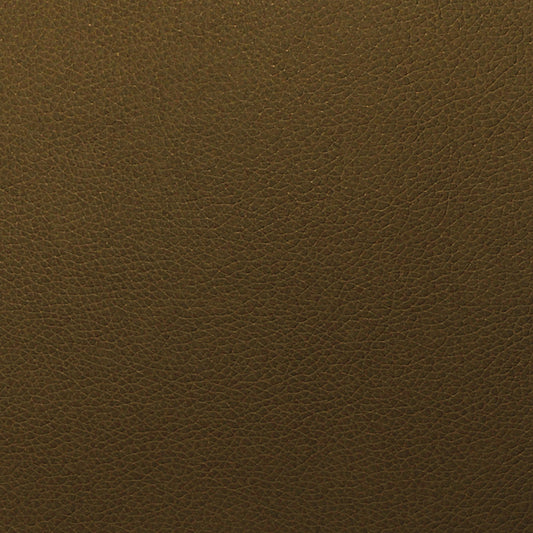 Writer's Block Tolstoy Performance Faux Leather Fabric - WTL-016 Timber