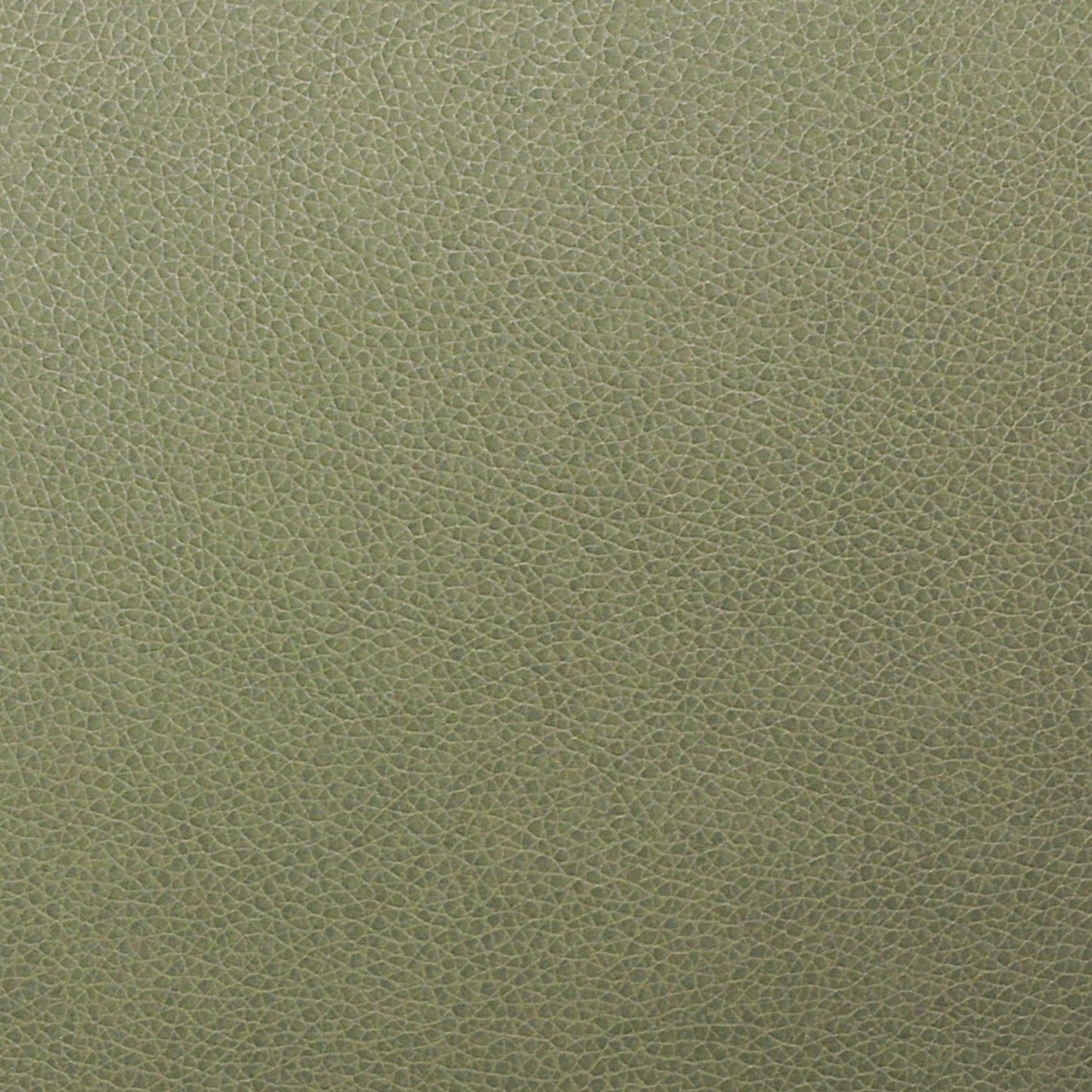 Writer's Block Tolstoy Performance Faux Leather Fabric - WTL-017 Vista