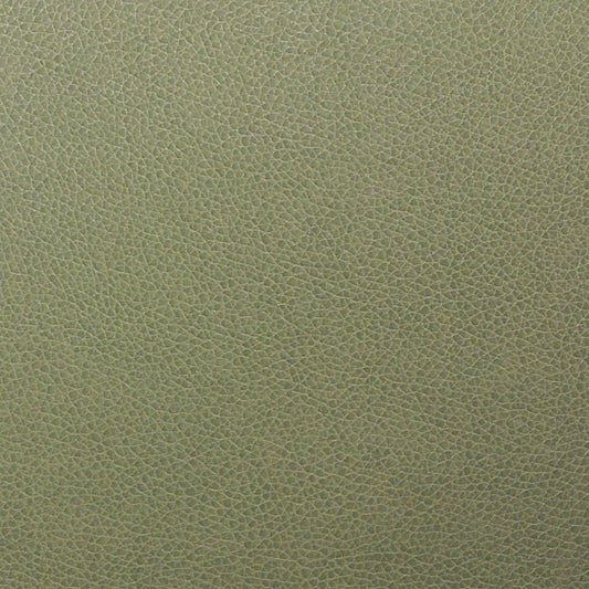 Writer's Block Tolstoy Performance Faux Leather Fabric - WTL-017 Vista