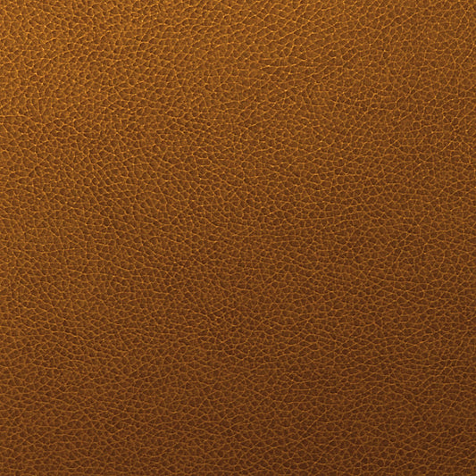 Writer's Block Tolstoy Performance Faux Leather Fabric - WTL-018 Whiskey