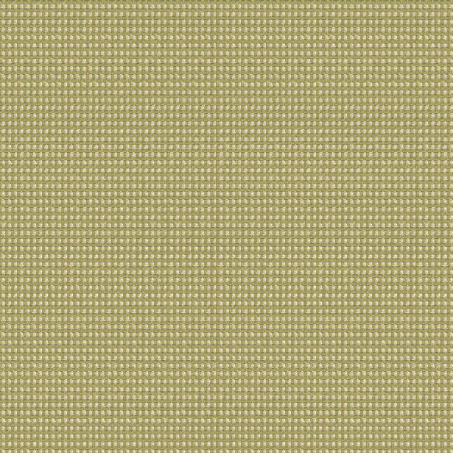 Outdura Delaney Outdoor Upholstery Fabric - 4882 Cactus
