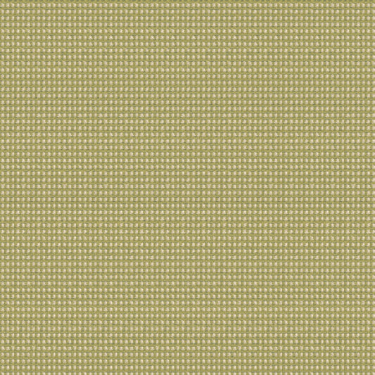 Outdura Delaney Outdoor Upholstery Fabric - 4882 Cactus