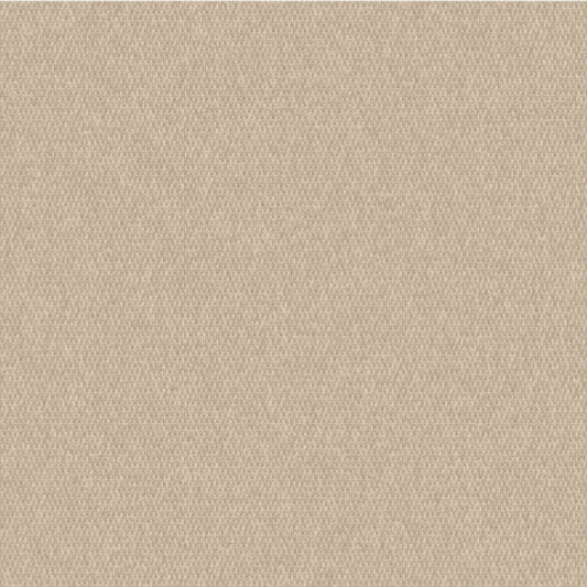 Outdura Solid Canvas Outdoor Upholstery Fabric - 5406 Antique Beige
