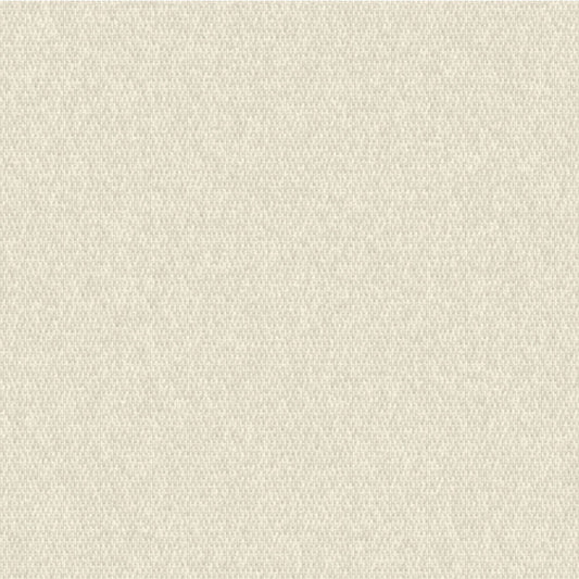Outdura Solid Canvas Outdoor Upholstery Fabric - 5430 Ivory