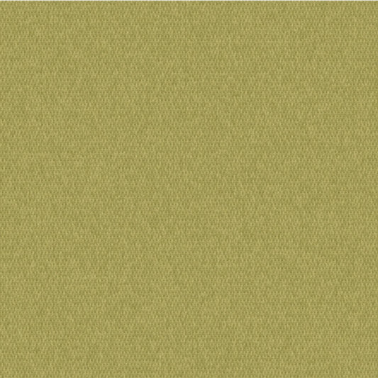 Outdura Solid Canvas Outdoor Upholstery Fabric - 5432 Pesto