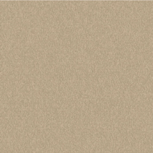 Outdura Solid Canvas Outdoor Upholstery Fabric - 5459 Stucco