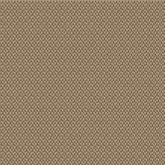 Outdura Reflections Outdoor Upholstery Fabric - 9229 Straw