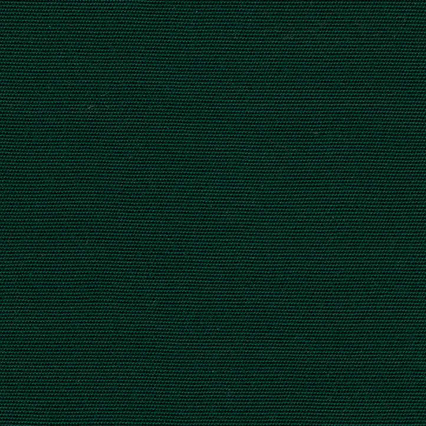 Recasens Recacril Marine Canvas Fabric - R-102 Forest Green